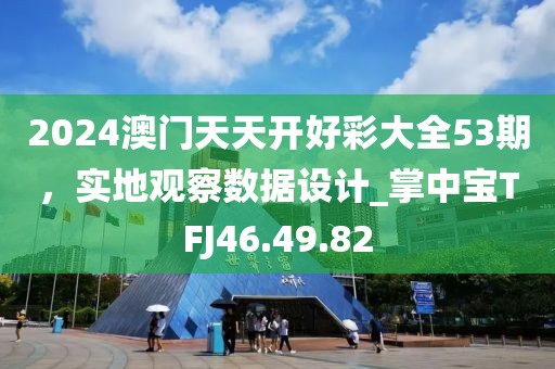 2024澳门天天开好彩大全53期，实地观察数据设计_掌中宝TFJ46.49.82