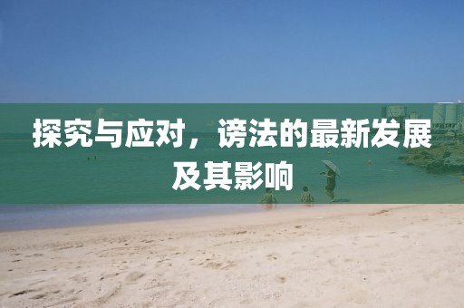 探究与应对，谤法的最新发展及其影响
