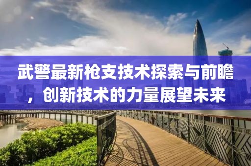 武警最新枪支技术探索与前瞻，创新技术的力量展望未来