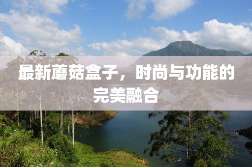 最新蘑菇盒子，时尚与功能的完美融合