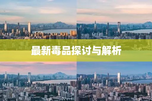最新毒品探讨与解析