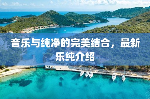 音乐与纯净的完美结合，最新乐纯介绍