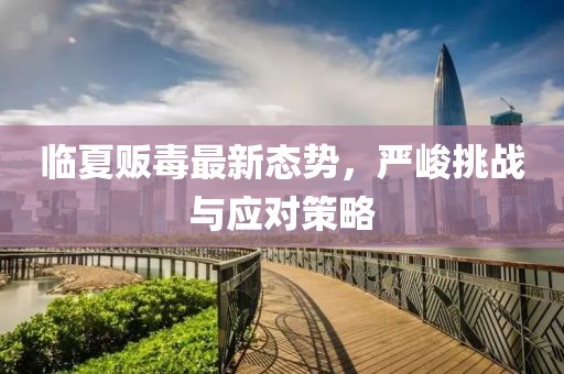 临夏贩毒最新态势，严峻挑战与应对策略