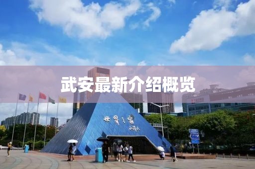 武安最新介绍概览