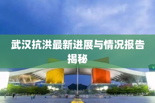 武汉抗洪最新进展与情况报告揭秘