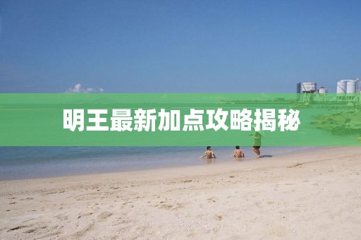 明王最新加点攻略揭秘