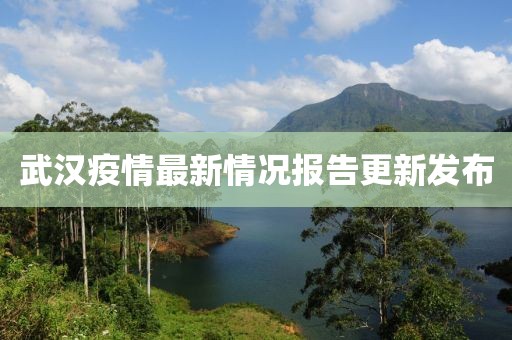 武汉疫情最新情况报告更新发布