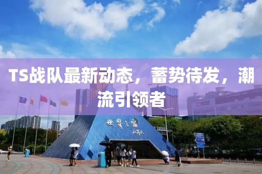 TS战队最新动态，蓄势待发，潮流引领者