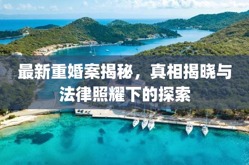 最新重婚案揭秘，真相揭晓与法律照耀下的探索