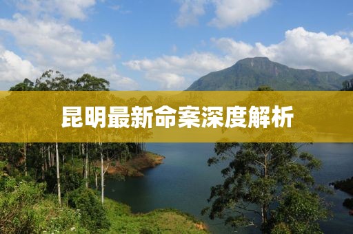 昆明最新命案深度解析