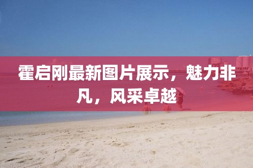 霍启刚最新图片展示，魅力非凡，风采卓越