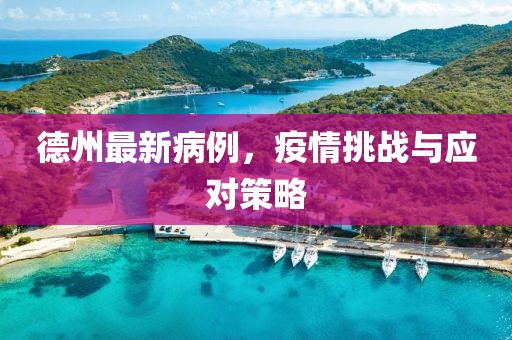 德州最新病例，疫情挑战与应对策略