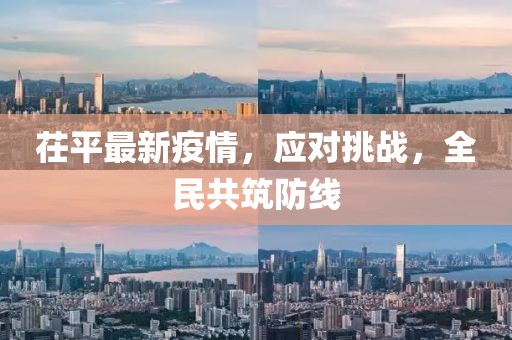 茌平最新疫情，应对挑战，全民共筑防线