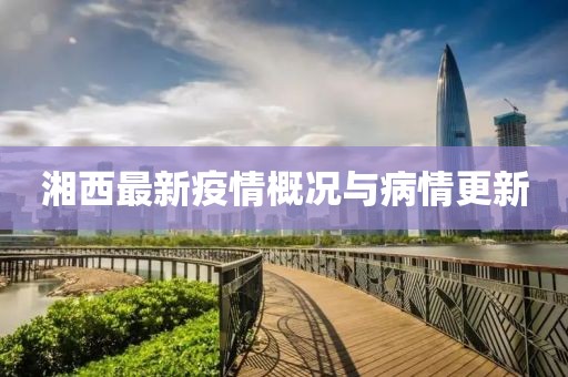 湘西最新疫情概况与病情更新