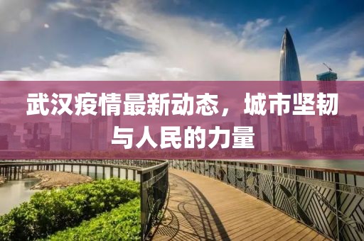 武汉疫情最新动态，城市坚韧与人民的力量