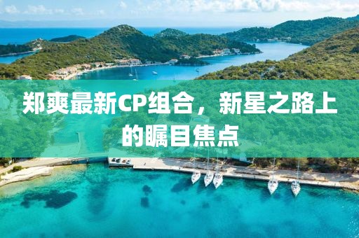 郑爽最新CP组合，新星之路上的瞩目焦点