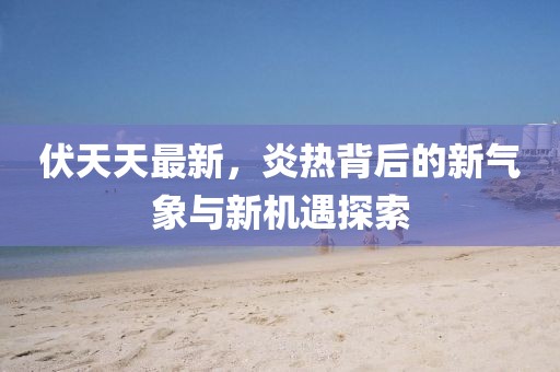 伏天天最新，炎热背后的新气象与新机遇探索
