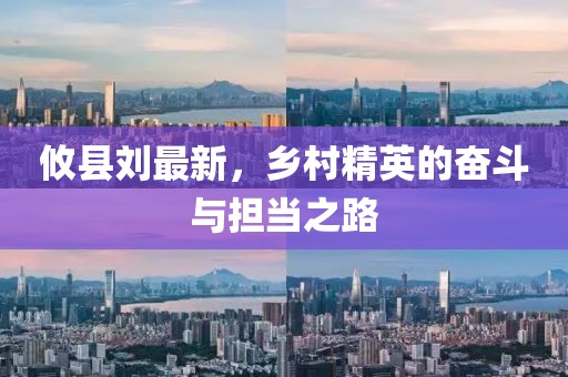 攸县刘最新，乡村精英的奋斗与担当之路