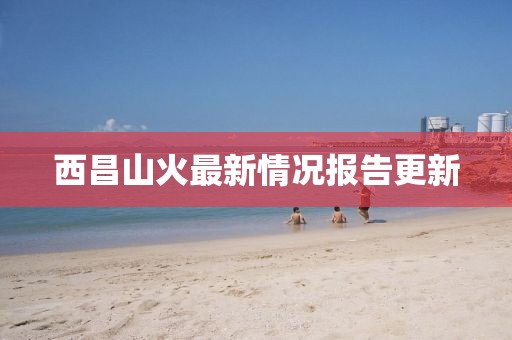西昌山火最新情况报告更新