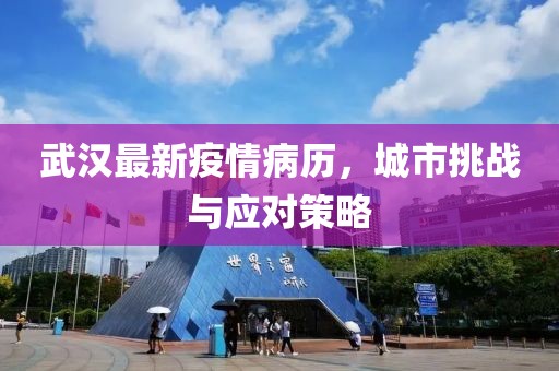 武汉最新疫情病历，城市挑战与应对策略