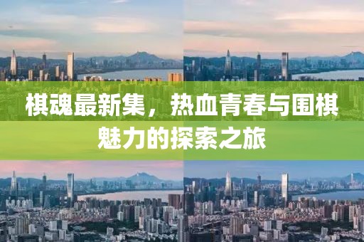 2024年11月 第1558页