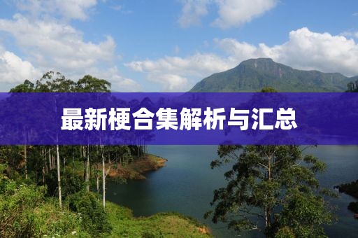 最新梗合集解析与汇总