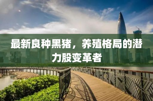 最新良种黑猪，养殖格局的潜力股变革者