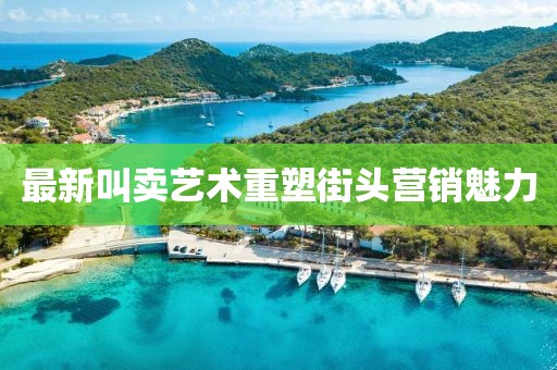 最新叫卖艺术重塑街头营销魅力