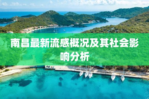 南昌最新流感概况及其社会影响分析