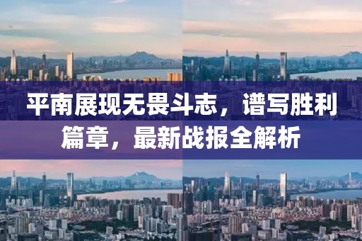 平南展现无畏斗志，谱写胜利篇章，最新战报全解析