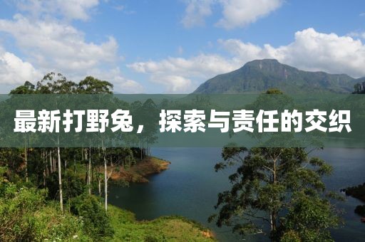 最新打野兔，探索与责任的交织