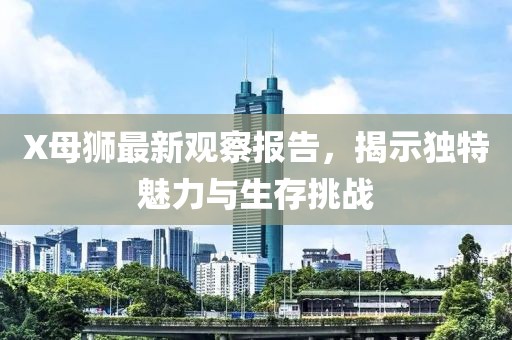X母狮最新观察报告，揭示独特魅力与生存挑战
