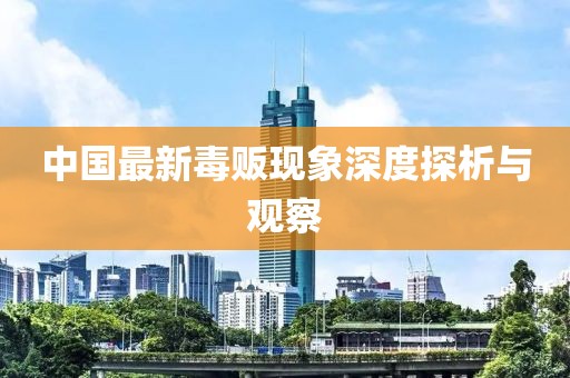 中国最新毒贩现象深度探析与观察