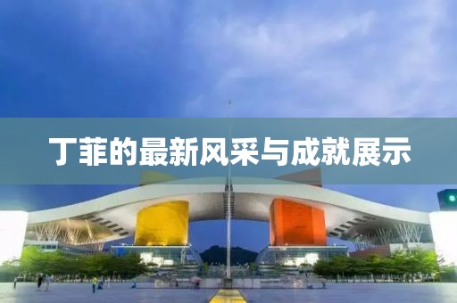 丁菲的最新风采与成就展示