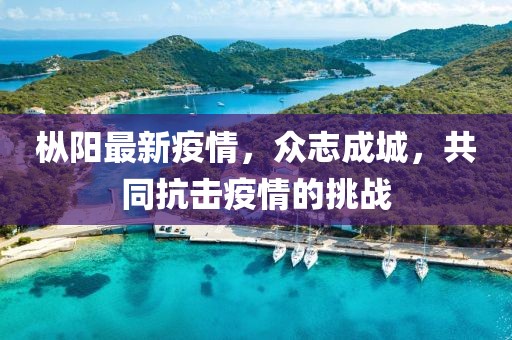 枞阳最新疫情，众志成城，共同抗击疫情的挑战