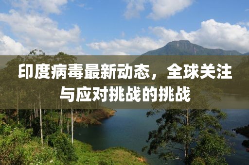 印度病毒最新动态，全球关注与应对挑战的挑战