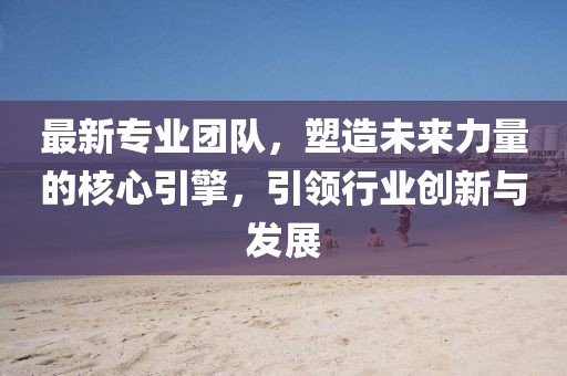 最新专业团队，塑造未来力量的核心引擎，引领行业创新与发展