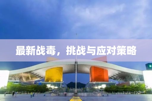 最新战毒，挑战与应对策略