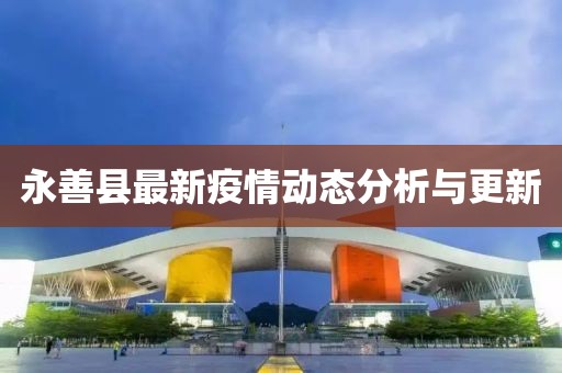 永善县最新疫情动态分析与更新