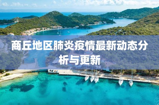 商丘地区肺炎疫情最新动态分析与更新
