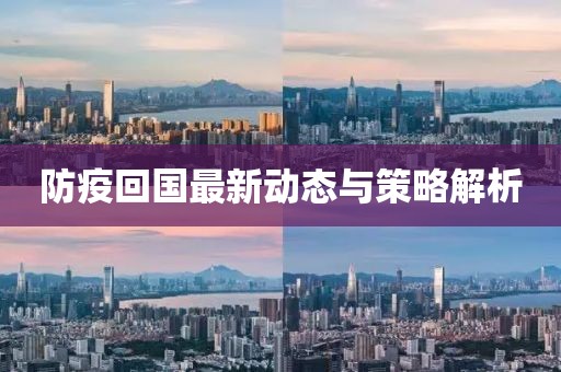 防疫回国最新动态与策略解析