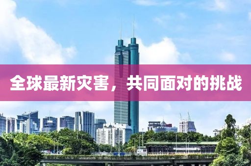 全球最新灾害，共同面对的挑战