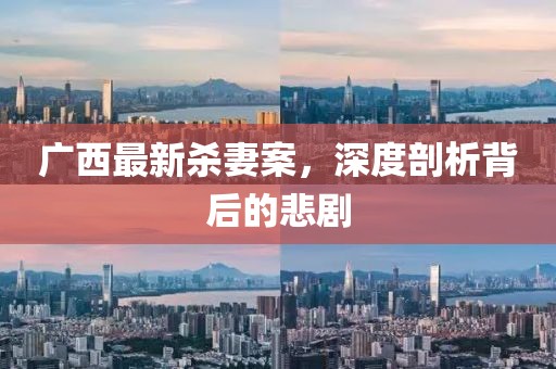 广西最新杀妻案，深度剖析背后的悲剧