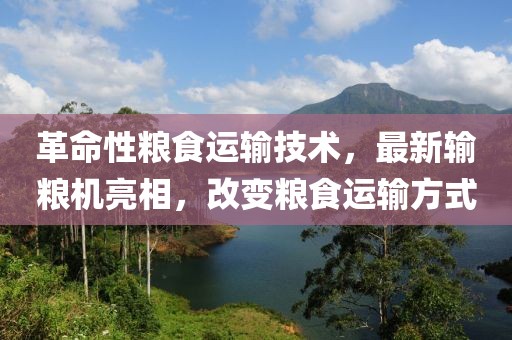 云影如墨 第12页