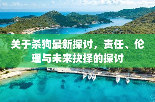 关于杀狗最新探讨，责任、伦理与未来抉择的探讨