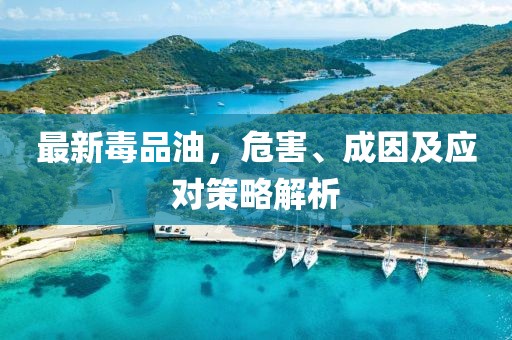 最新毒品油，危害、成因及应对策略解析