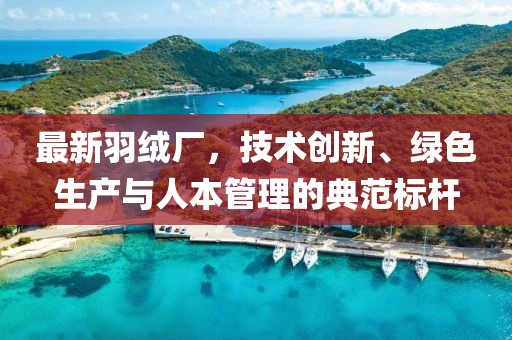 最新羽绒厂，技术创新、绿色生产与人本管理的典范标杆