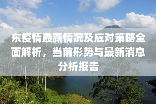 东疫情最新情况及应对策略全面解析，当前形势与最新消息分析报告