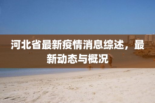 河北省最新疫情消息综述，最新动态与概况