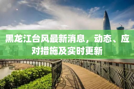 黑龙江台风最新消息，动态、应对措施及实时更新